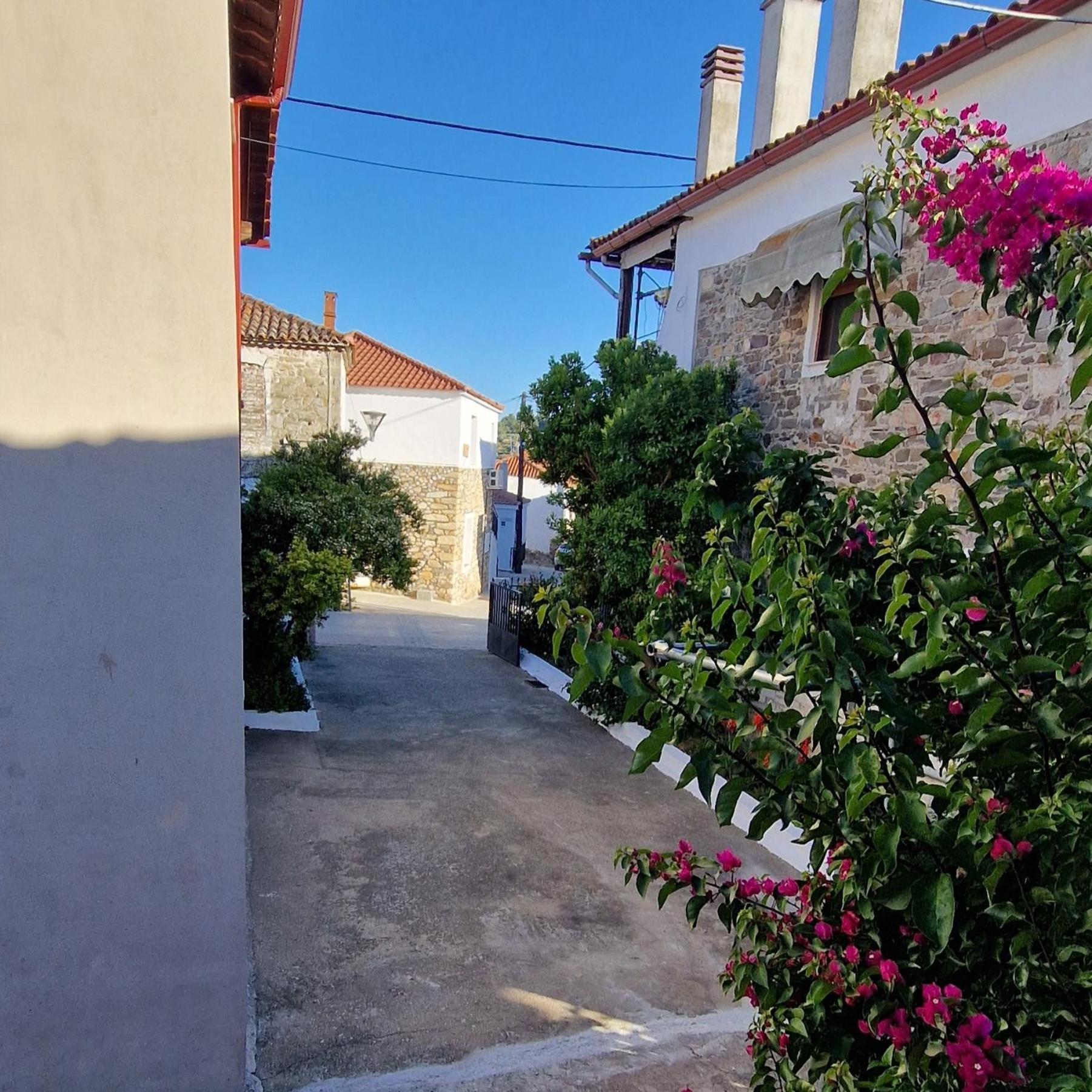 アギオス・ニコラオスNikolaos Houseアパートメント エクステリア 写真