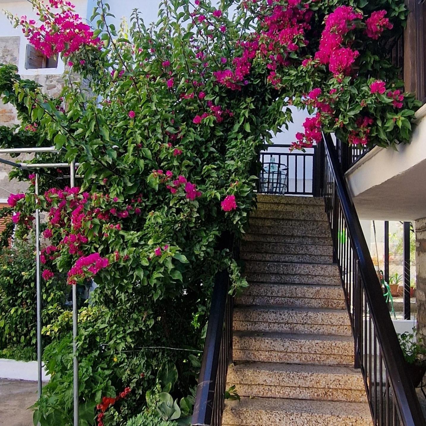 アギオス・ニコラオスNikolaos Houseアパートメント エクステリア 写真